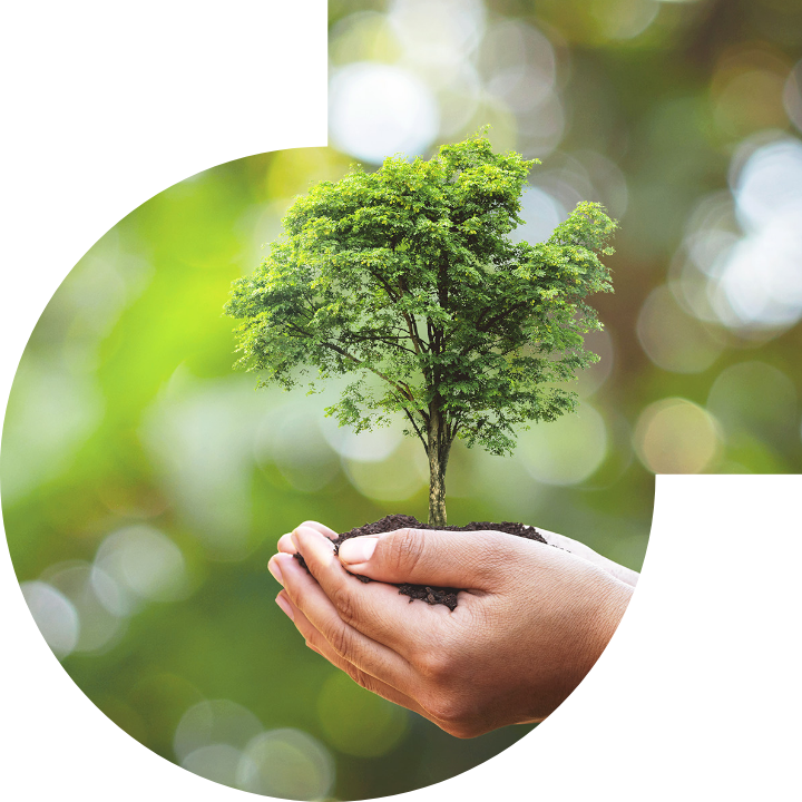 关怀人类、文化、环境与社会